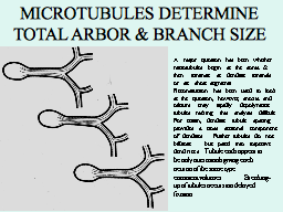 Slide 6