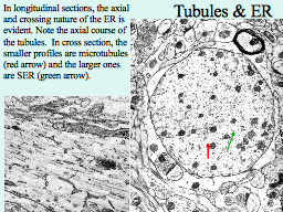 Slide 7