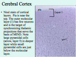 Slide 9
