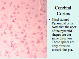 Slide 10