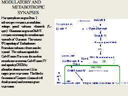 Slide 19
