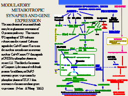 Slide 20