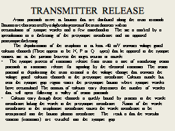 Slide 7
