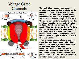 Slide 9