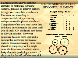 Slide 12