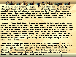 Slide 17