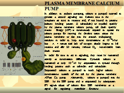 Slide 19