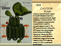 Slide 20