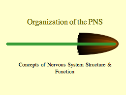   Organization of the PNS 
