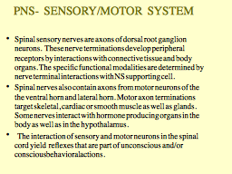 PNS-  SENSORY/MOTOR  SYSTEM 