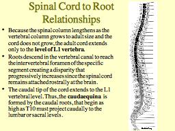 Spinal Cord to Root Relationships