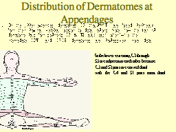 Distribution of Dermatomes at Appendages