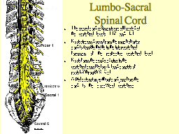 Slide 23