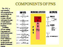 COMPONENTS OF PNS 