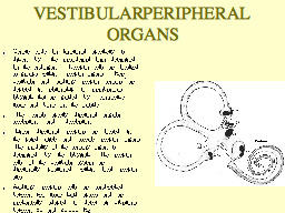 VESTIBULAR PERIPHERAL ORGANS
