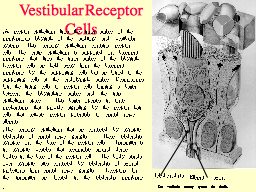 Vestibular Receptor Cells