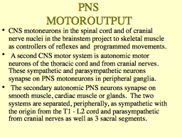 PNS   MOTOR OUTPUT 