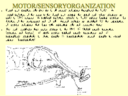 MOTOR/SENSORY ORGANIZATION