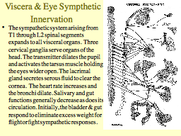 Viscera & Eye Sympthetic Innervation 