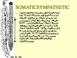 SOMATIC SYMPATHETIC