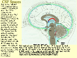 CSF Spaces