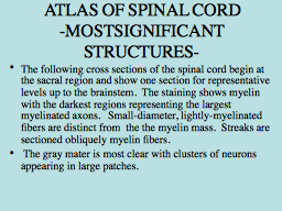 ATLAS OF SPINAL CORD -MOST SIGNIFICANT STRUCTURES-