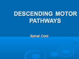DESCENDING MOTOR PATHWAYS
