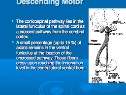 Descending Motor  