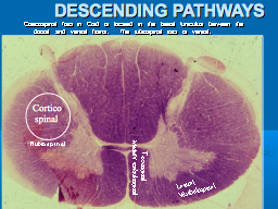  DESCENDING PATHWAYS