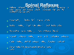 Spinal Reflexes