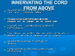 INNERVATING THE CORD FROM ABOVE 