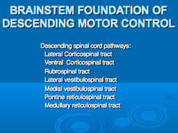 BRAINSTEM FOUNDATION OF DESCENDING MOTOR CONTROL