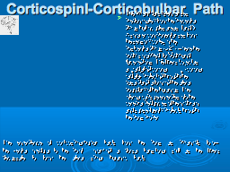 Corticospinl-Corticobulbar  Path