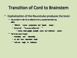 Transition of Cord to Brainstem