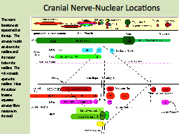 Cranial Nerve-Nuclear Locations
