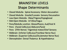 BRAINSTEM LEVELS Shape Determinants