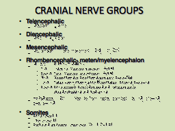 CRANIAL NERVE GROUPS