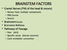 BRAINSTEM FACTORS