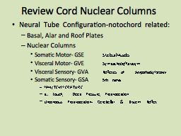 Review Cord Nuclear Columns