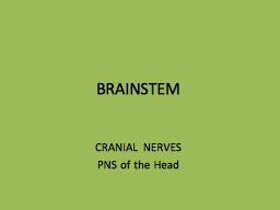 BRAINSTEM 