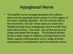 Hypoglossal Nerve