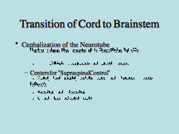 Slide 11