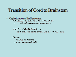 Transition of Cord to Brainstem