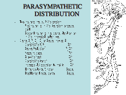 PARASYMPATHETIC      DISTRIBUTION