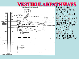 VESTIBULAR PATHWAYS