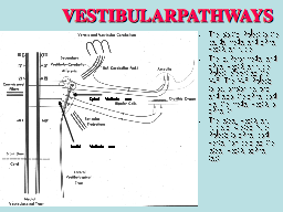 Slide 30