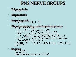 PNS NERVE GROUPS