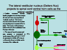 The lateral vestibular nucleus (Deiters Nuc) projects to spinal cord ventral horn cells as the lateral vestibulospinal tract. 