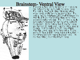 Slide 34