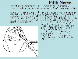 Fifth Nerve